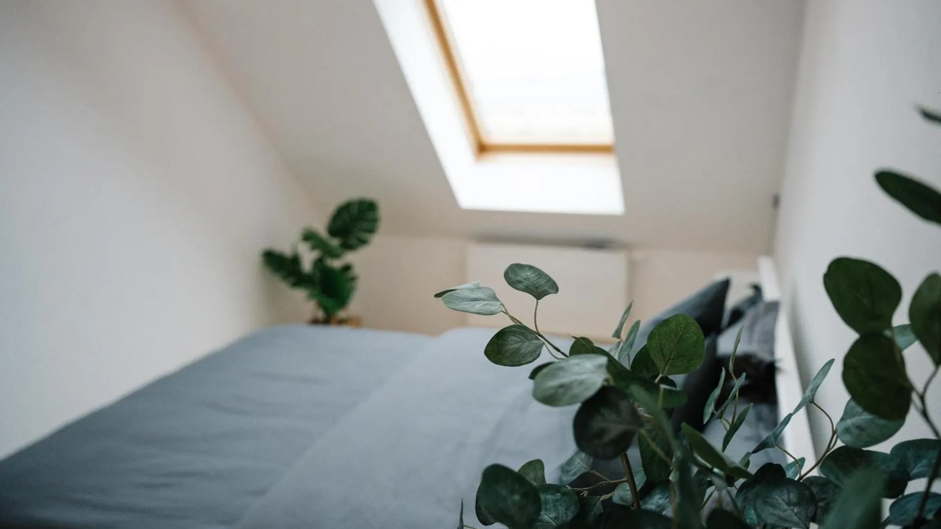 公寓 110Qm, 4 Bedrooms, Near Schoenbrunn - Axara Housing Osw 33 维也纳
